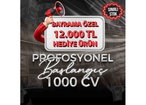 PROFESYONEL BAŞLANGIÇ